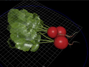 фрукти та овочі 2 3D Модель