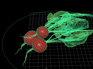 fruit and vegtebale 2 Modèle 3D