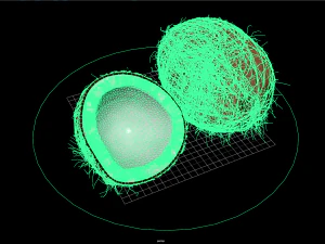 frutas e vegetais 3 Modelo 3D