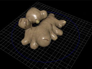 frutas e vegetais 3 Modelo 3D