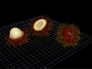 fruit and vegtebale 4 3D 模型