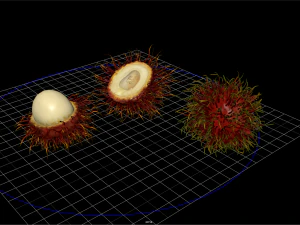 fruit and vegtebale 4 3D Model