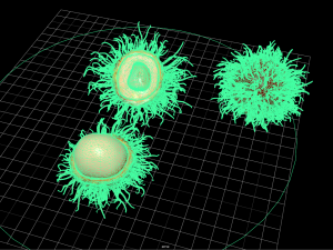 fruit and vegtebale 4 3D 模型