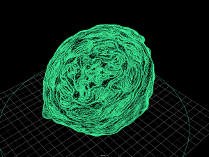 fruit and vegtebale 4 3D 模型