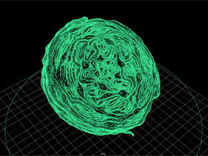 fruit and vegtebale 4 3D 模型