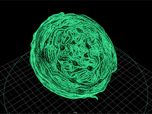 fruit and vegtebale 4 3D Model