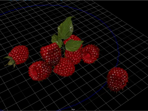 fruit and vegtebale 5 3D Model