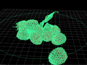 fruit and vegtebale 5 3D Model