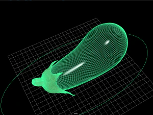 fruit and vegtebale 5 3D Model