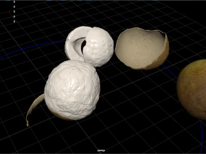 фрукти та овочі 6 3D Модель