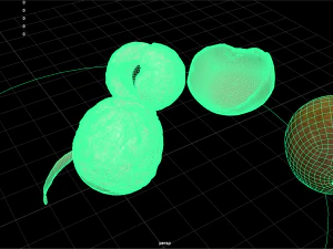 фрукти та овочі 6 3D Модель