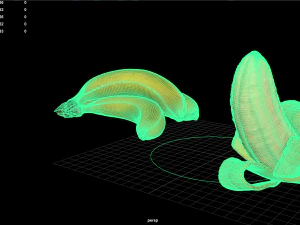 фрукти та овочі 6 3D Модель