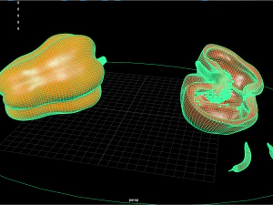 фрукти та овочі 6 3D Модель