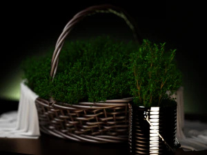 fruit and vegtebale 7 3D Model