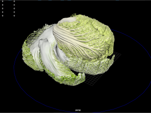 fruit and vegtebale 7 Modello 3D