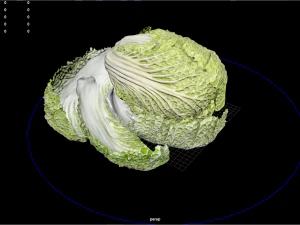 fruit and vegtebale 7 3D Model