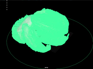 fruit and vegtebale 7 3D Model