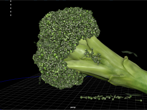 fruit and vegtebale 7 Modello 3D
