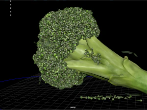 fruit and vegtebale 7 3D Model