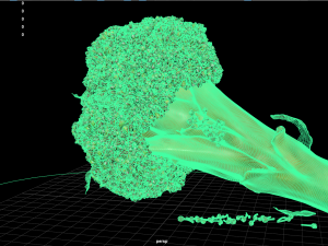 fruit and vegtebale 7 Modello 3D