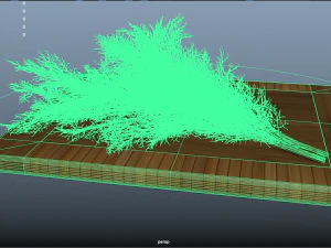 fruit and vegtebale 7 3D Model