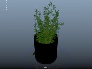 fruit and vegtebale 7 Modello 3D