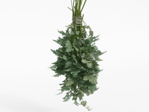 fruit and vegtebale 8 3D Model