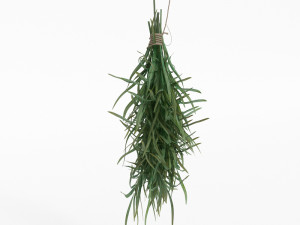 fruit and vegtebale 8 3D Model