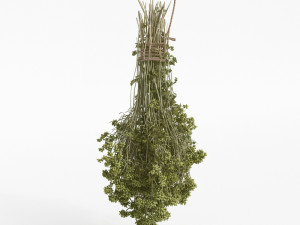 fruit and vegtebale 8 3D Model