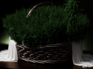 fruit and vegtebale 8 3D Model