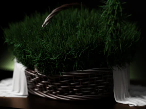 fruit and vegtebale 8 3D Model