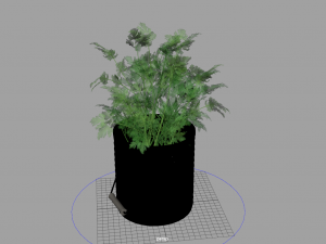 fruit and vegtebale 8 3D Model