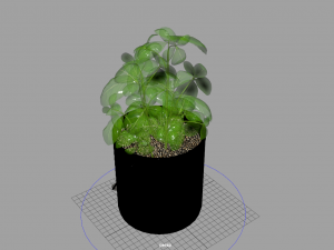 fruit and vegtebale 8 3D Model