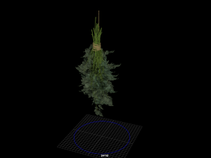 fruit and vegtebale 8 3D Model