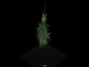 fruit and vegtebale 8 3D Model