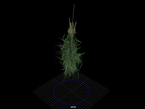 fruit and vegtebale 8 3D Model