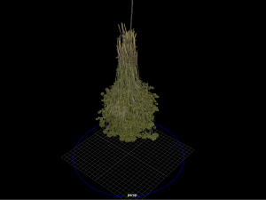 fruit and vegtebale 8 3D Model