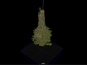 fruit and vegtebale 8 3D Model