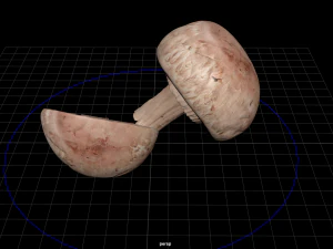 fruit and vegtebale 9 3D Model
