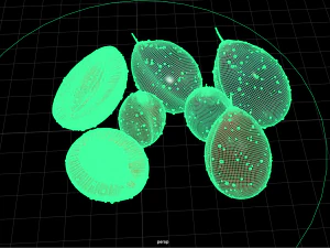 fruit and vegtebale 9 3D Model