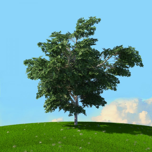 spring trees x20 no1 3D Model .c4d .max .obj .3ds .fbx .stl .blend 