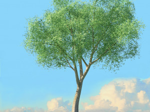spring trees x20 no1 3D Model