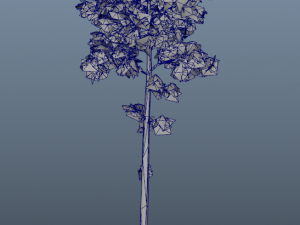spring trees x20 no1 3D Model