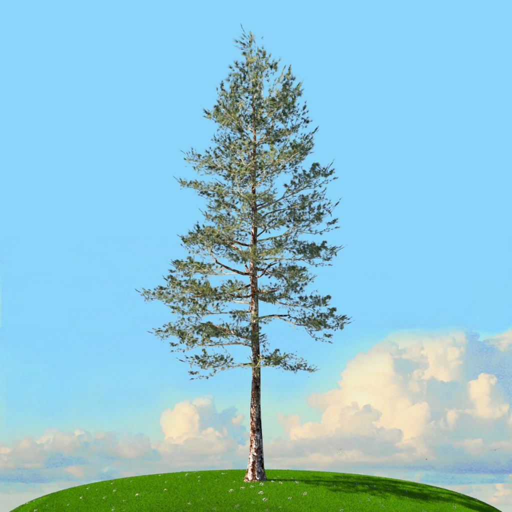 spring trees x20 no2 3D Model .c4d .max .obj .3ds .fbx .stl .blend 