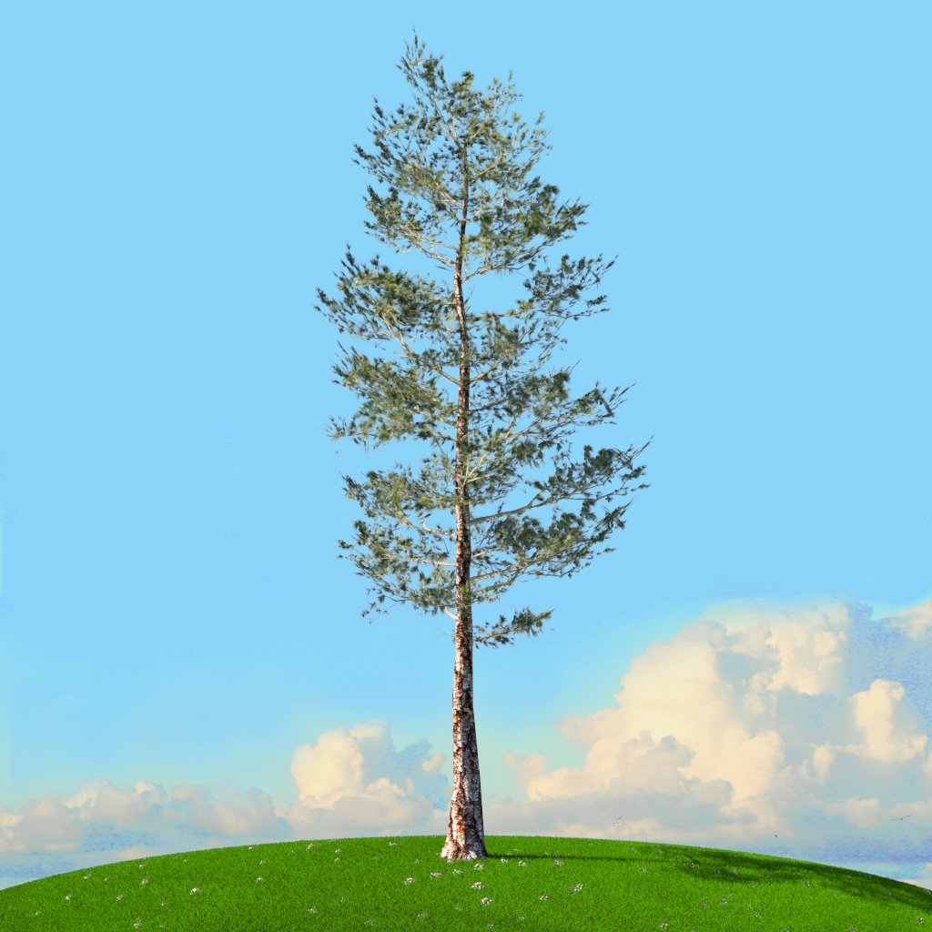 Tree x. Tree x