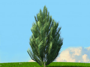 spring trees x20 no2 3D Model