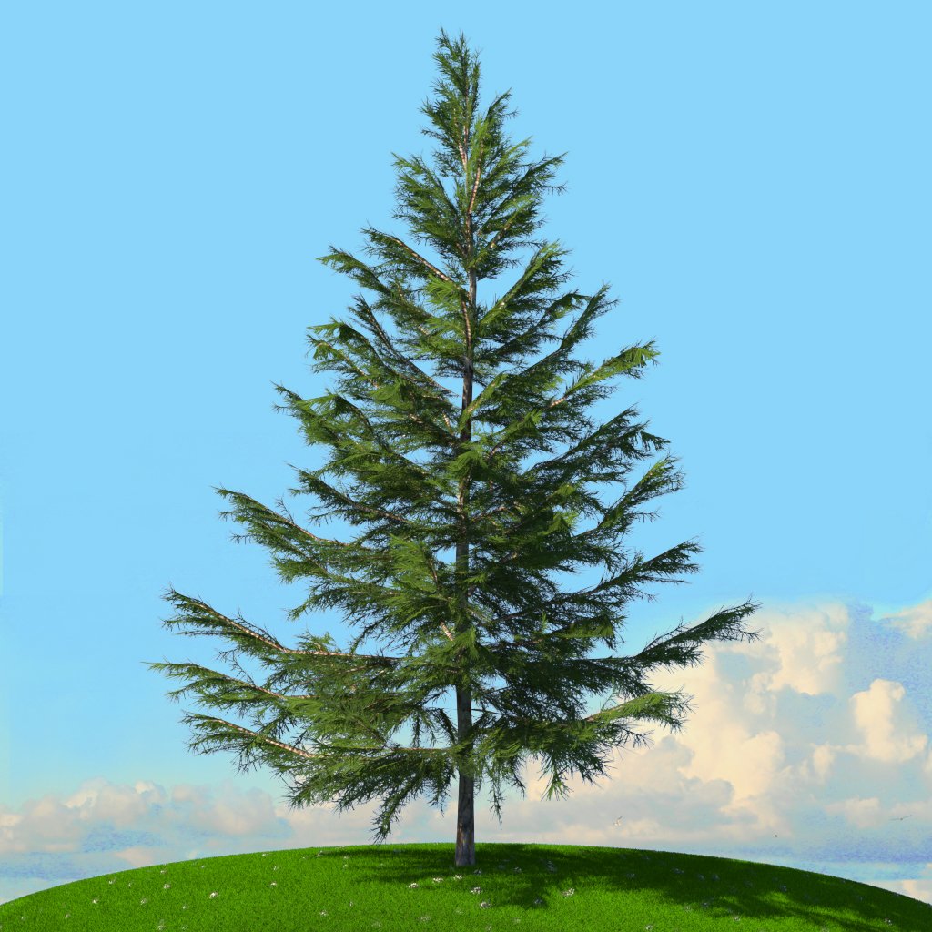 Tree x. Tree x