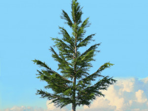 spring trees x20 no2 3D Model