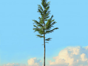 spring trees x20 no2 3D Model