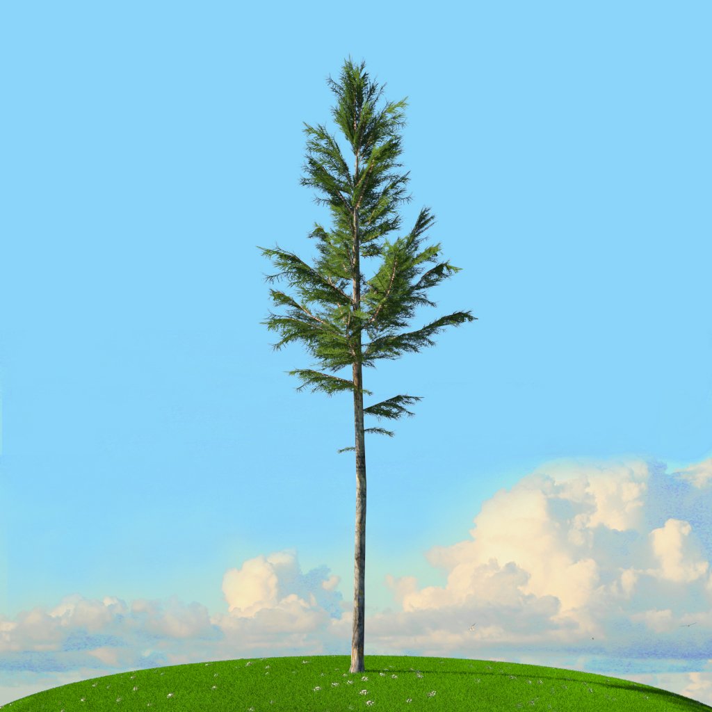 Tree x. Tree x
